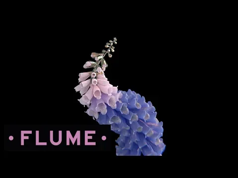 Flume - You Know feat. Allan Kingdom & Raekwon