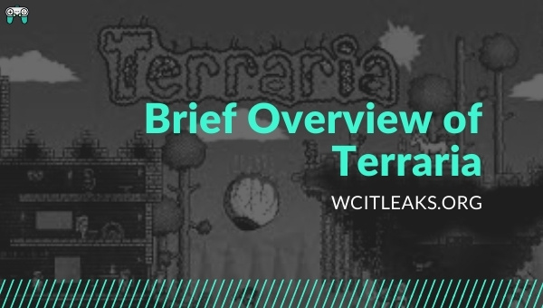 Brief Overview of Terraria