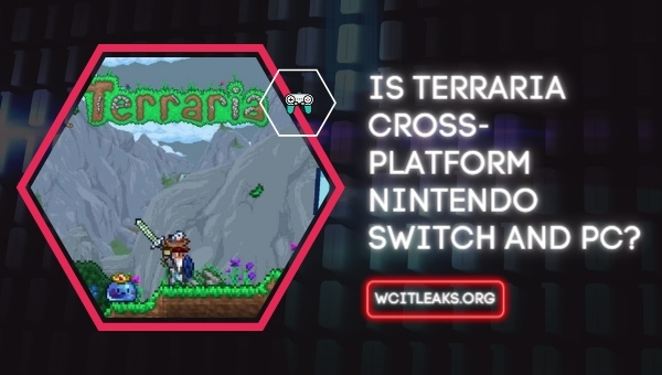 Is Terraria Cross-Platform Nintendo Switch and PC?