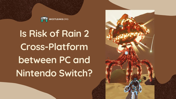 Is Risk of Rain 2 Cross-Platform between PC and Nintendo Switch?