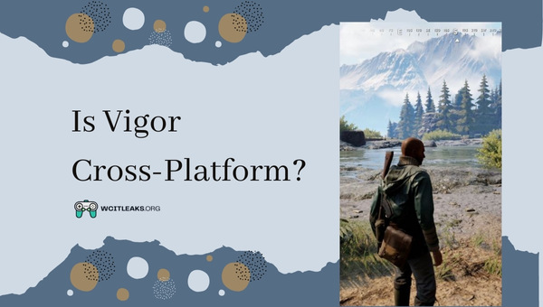Is Vigor Cross-Platform in 2023?