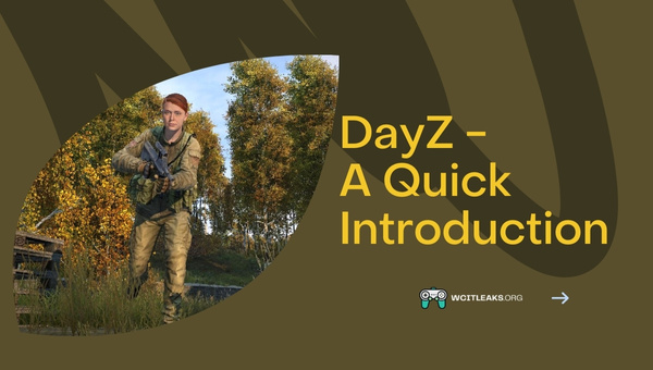 DayZ - A Quick Introduction