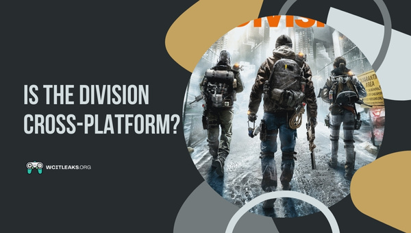 Is The Division Cross-Platform in 2023?