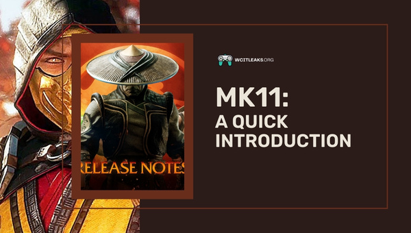MK11: A Quick Introduction