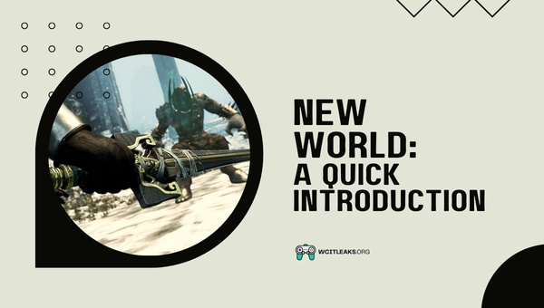 New World: A Quick Introduction