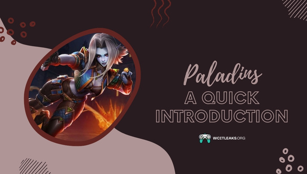 Paladins: A Quick Introduction