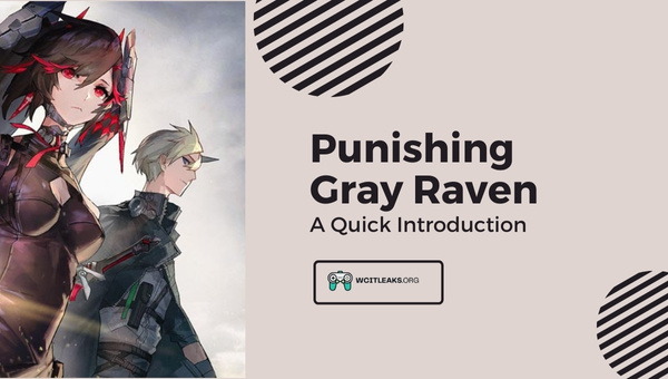 Punishing Gray Raven: A Quick Introduction