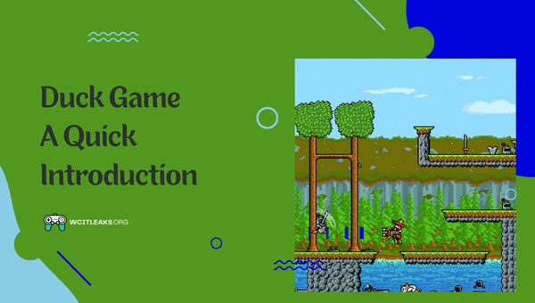 Duck Game - A Quick Introduction