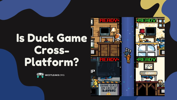 Is Duck Game Cross-Platform in 2023?