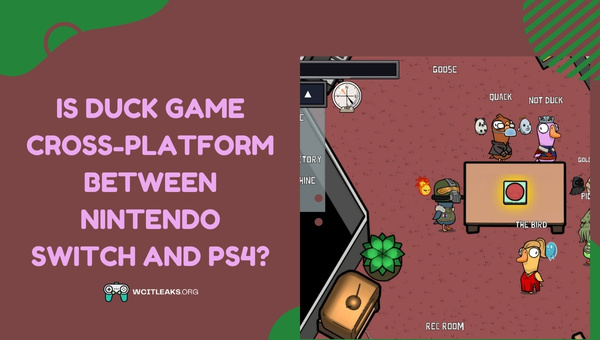 Is Duck Game Cross-Platform between Nintendo Switch and PS4?