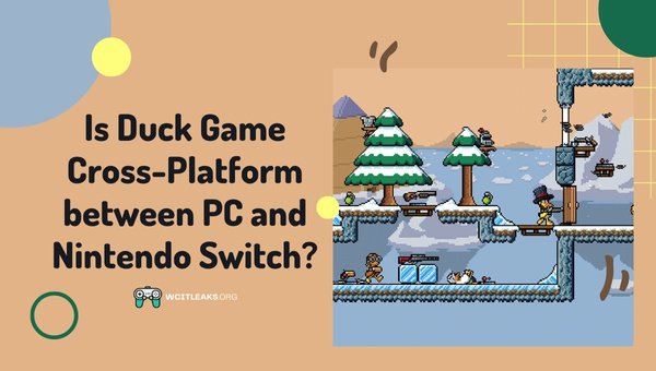 Is Duck Game Cross-Platform between PC and Nintendo Switch?