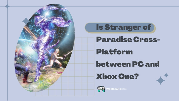 Is Stranger of Paradise Cross-Platform between PC and Xbox One?
