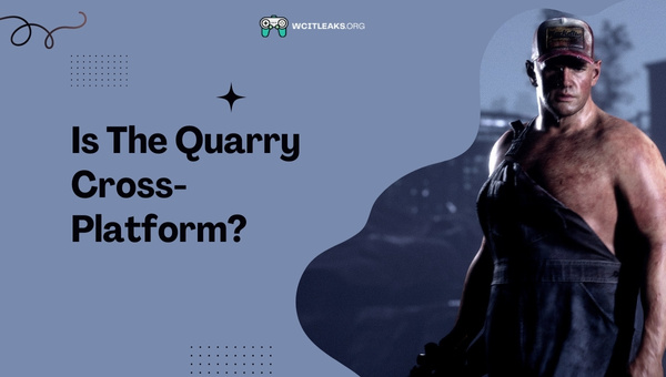 Is The Quarry Cross-Platform in 2023?