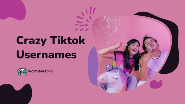 Crazy Tiktok Usernames Ideas (2023)