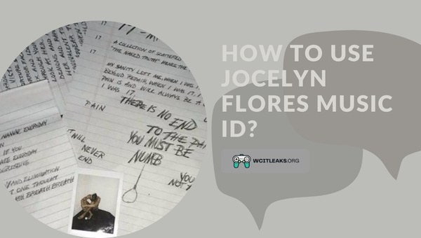How to use Jocelyn Flores Song ID?