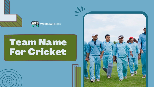 Team Names Ideas For Cricket (2023)