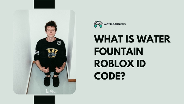 What is Water Fountain Roblox ID Code?