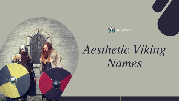 Aesthetic Viking Names Ideas (2023)