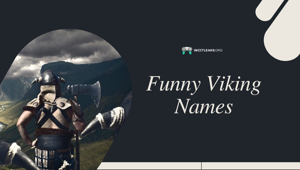 Funny Viking Names Ideas (2023)