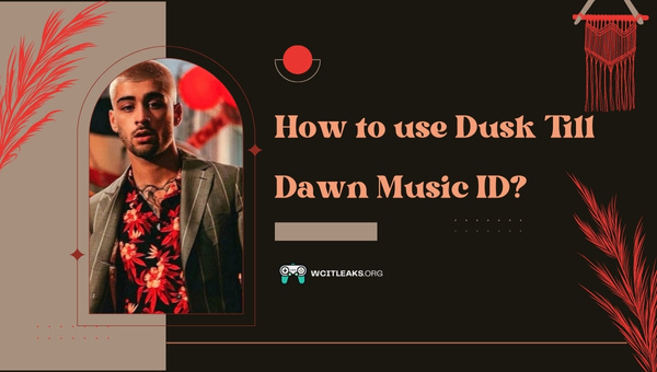 How to use Dusk Till Dawn Song ID?