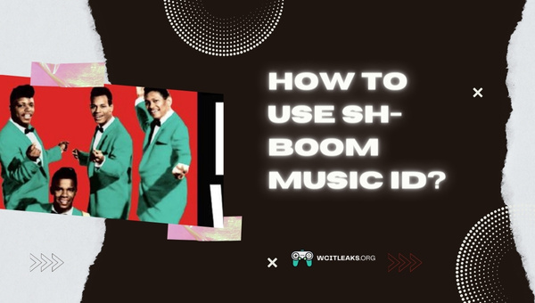How to use Sh-Boom Song ID?