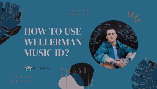 How to use Wellerman Song ID?